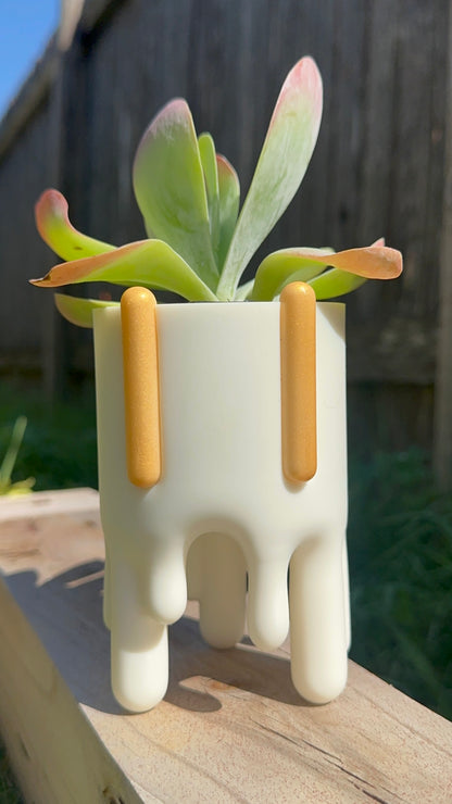 Wild Gooey Planter
